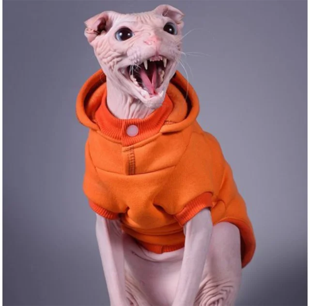 Кофта с рукавами Style Pets Squash для кошек, размер M+