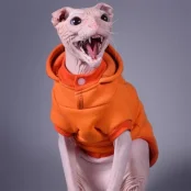 Кофта з рукавами Style Pets Squash для котів, розмір XL+