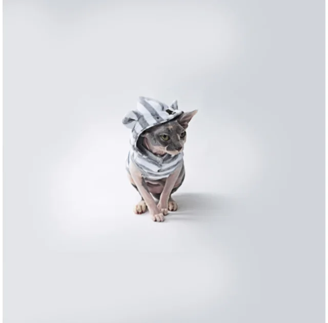 Майка Style Pets GUMMI для кошек, с ушками, размер S