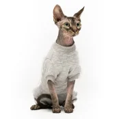 Боді Style Pets Steya для котів, колір сірий, розмір L+