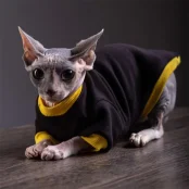 Кофта Style Pets Classic black для котів, розмір L