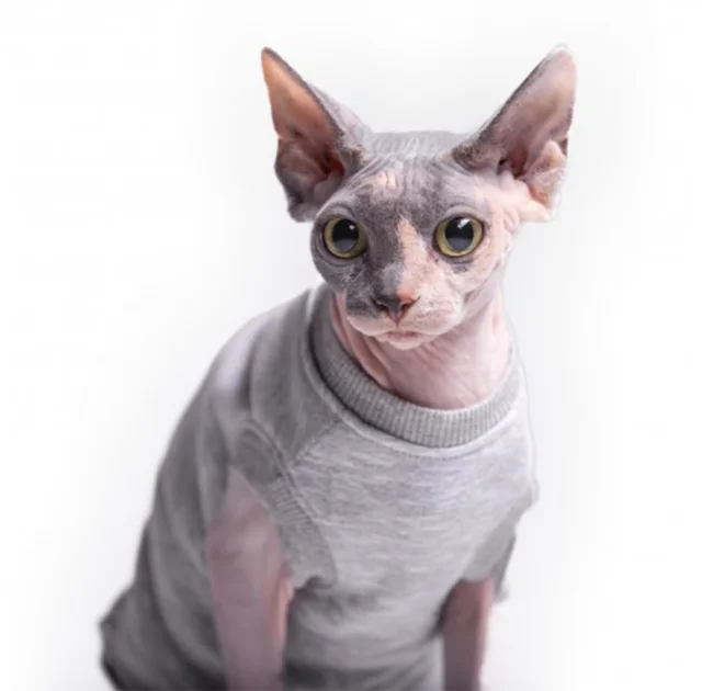 Майка без рукава Style Pets Martin для кошек, размер L+