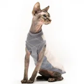 Майка без рукавів Style Pets VAR для котів, розмір L