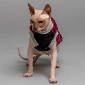 Майка Style Pets FaceSPM для котів, колір марсала, розмір L-