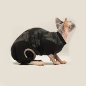 Боді Style Pets EMERALD теплий, для котів, розмір L-
