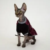 Кофта Style Pets FaceSPM для котів, колір марсала, розмір L-