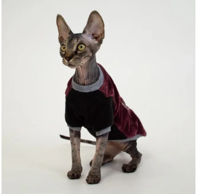 Кофта Style Pets FaceSPM для котів, колір марсала, розмір M-