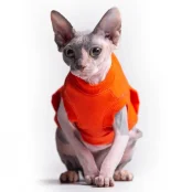 Майка Style Pets TVIXI для котів, колір помаранчевий, розмір S