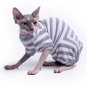 Велюровий боді Style Pets SP Sprinter для котів, розмір M-