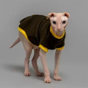 Кофта Style Pets Classic khaki для котів, розмір M-