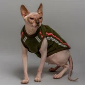 Майка Style Pets ELVIN для котів, колір зелений, розмір M+