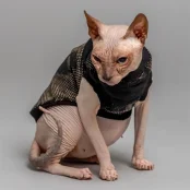 Майка Style Pets Emerald для котів, принт, розмір L