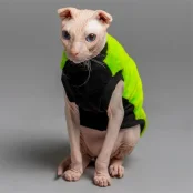 Майка Style Pets FaceSPS для котів, колір зелений, розмір S