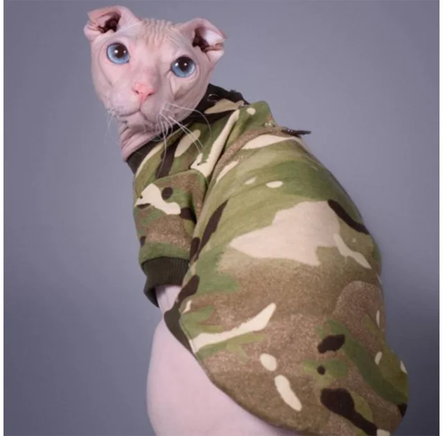 Кофта Style Pets Multikam для котів, принт, розмір XS