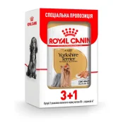 Вологий корм Royal Canin Yorkshire Terrier Adult для йоркширського тер'єра, 85 г, акція 3+1