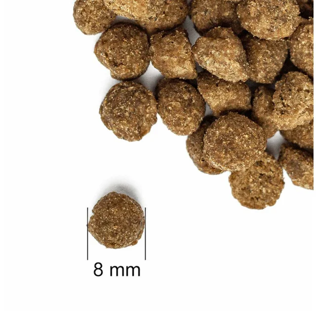 Сухий корм Practik Fresh Cat&Kiiten 4 Proteins для кошенят та котів, 0.5 кг