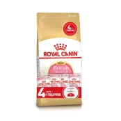 Акційний набір Royal Canin British Shorthair Kitten для британських кошенят, 2 кг + 4 паучі в подарунок