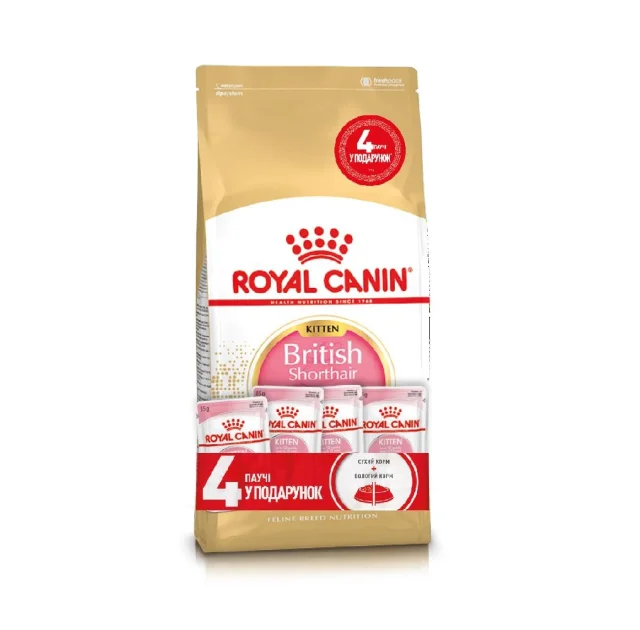 Акційний набір Royal Canin British Shorthair Kitten для британських кошенят, 2 кг + 4 паучі в подарунок