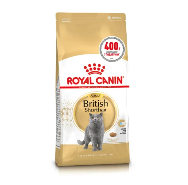 Сухий корм Royal Canin British Shorthair Adult для британських короткошерстих котів, 1.6 кг + 400 г у подарунок