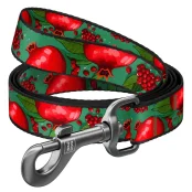 Поводок Waudog Nylon для собак, рисунок "Гранаты", нейлоновый, S, ширина: 15 мм, длина: 122 см