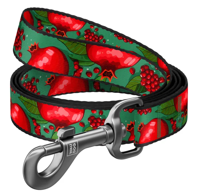 Поводок Waudog Nylon для собак, рисунок "Гранаты", нейлоновый, M, ширина: 20 мм, длина: 122 см