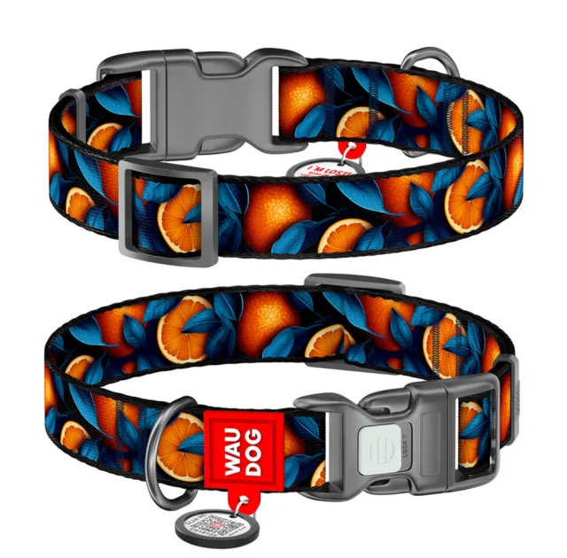 Ошейник Waudog Nylon с QR паспортом для собак нейлоновый, рисунок "Апельсины",  L, ширина 25 мм, длина 33-49 см