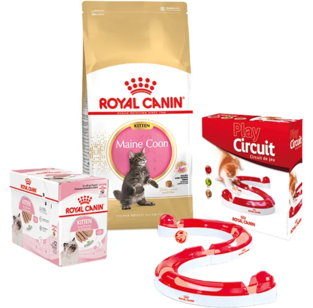 Набір сухий корм Royal Canin Maine Coon Kitten 2 кг + вологий корм 12 шт по 85 г + ігровий трек у подарунок