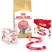 Набір сухий корм Royal Canin Kitten British Shorthair 2 кг + вологий корм 12 шт по 85 г + ігровий трек у подарунок