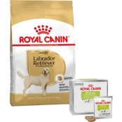 Набір сухий корм Royal Canin Adult Labrador Retriever 12 кг + ласощі Educ 30 шт у подарунок
