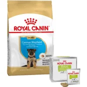 Набір сухий корм Royal Canin Puppy German Shepherd 12 кг + ласощі Educ 30 шт у подарунок