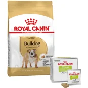 Набір сухий корм Royal Canin Adult Bulldog 12 кг + ласощі Educ 30 шт у подарунок