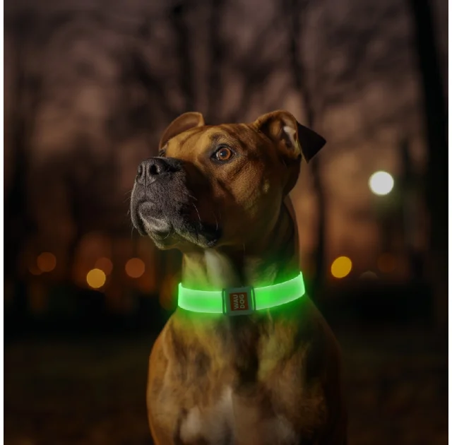 Ошейник с подсветкой Waudog LED для собак, магнитная застежка, 25 мм/45 см