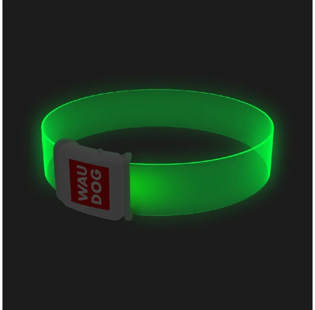 Ошейник с подсветкой Waudog LED для собак, магнитная застежка, 25 мм/45 см