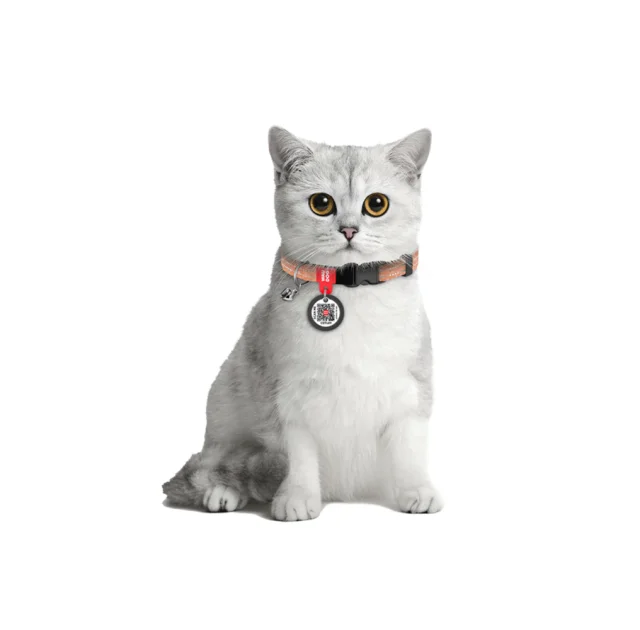 Нашийник Waudog Re-cotton з QR паспортом для котів, світловідбиваючий, пластиковий фастекс, XS, Ш: 10 мм, Д: 20-30 см, помаранчевий