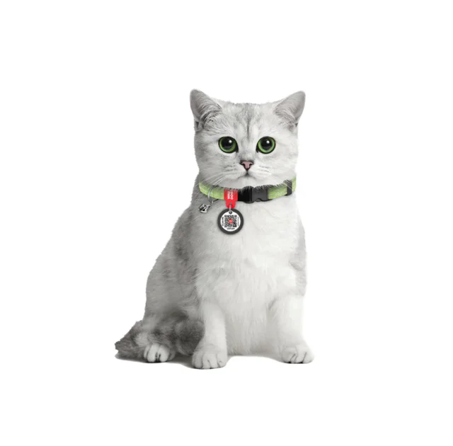 Нашийник Waudog Re-cotton з QR паспортом для котів, світловідбиваючий, пластиковий фастекс, XS, Ш: 10 мм, Д: 20-30 см, салатовий