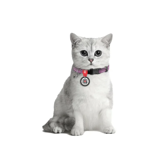 Нашийник Waudog Re-cotton з QR паспортом для котів, світловідбиваючий, пластиковий фастекс, XS, Ш: 10 мм, Д: 20-30 см, фіолетовий