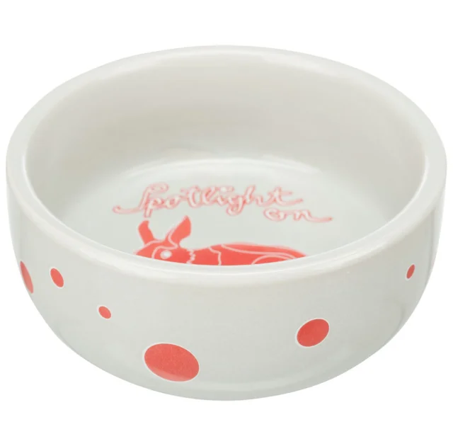 Миска Trixie Ceramic Bowl з принтом кролика, для гризунів, керамічна, діаметр 11 см, 250 мл