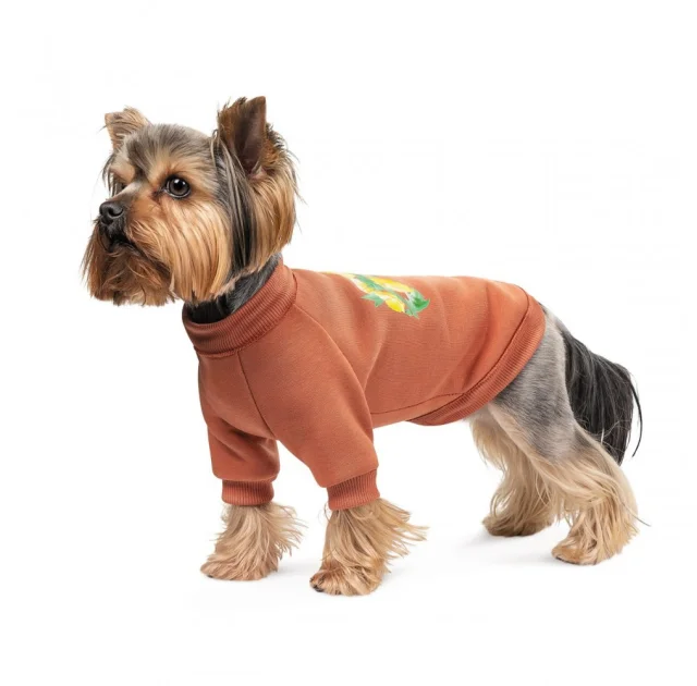 Толстовка Pet Fashion Miley, для собак, розмір XS