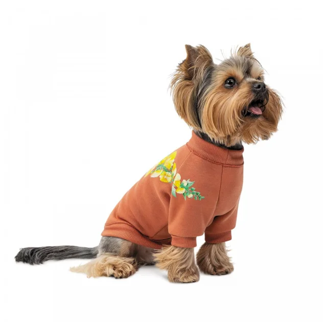 Толстовка Pet Fashion Miley, для собак, розмір XS
