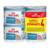 Вологий корм Royal Canin Starter Mousse для вагітних собак і цуценят, 195 г, 3+1 шт