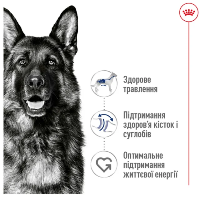 Сухой корм Royal Canin Maxi Adult для собак крупных пород, 4 кг