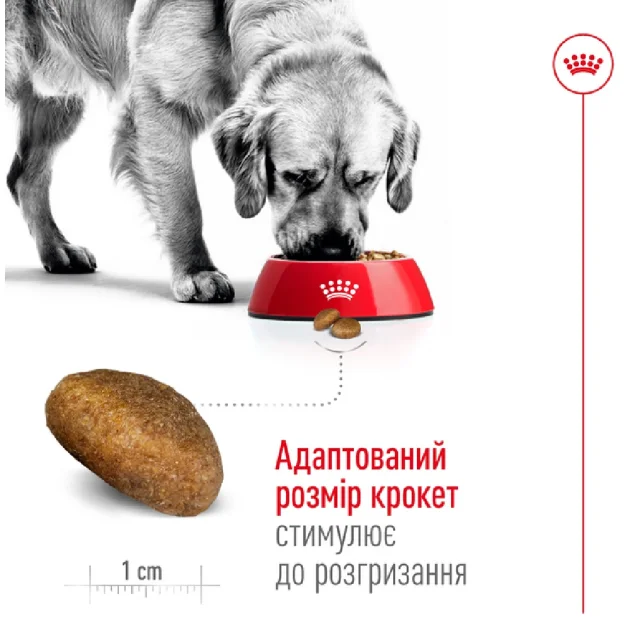 Сухой корм Royal Canin Maxi Adult для собак крупных пород, 4 кг