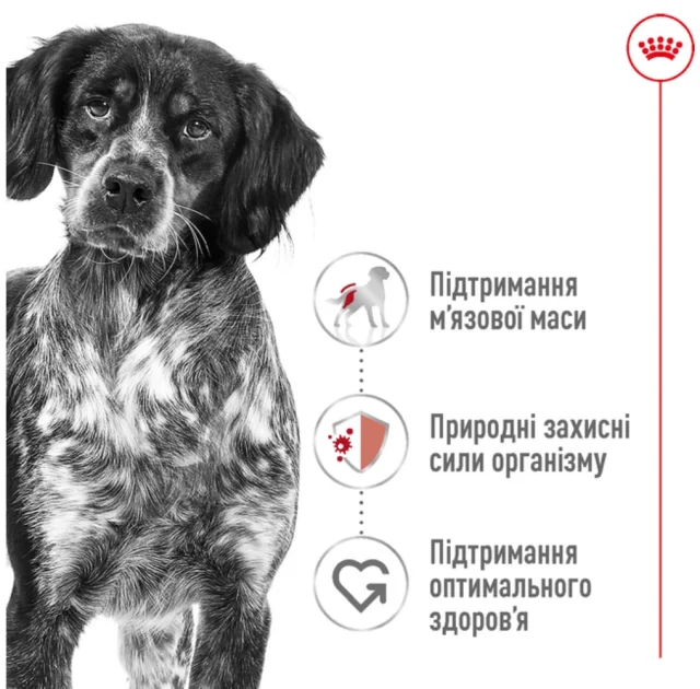 Сухой корм Royal Canin Medium Adult для собак средних пород, 15 кг