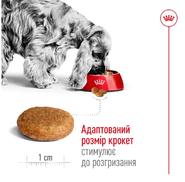 Сухой корм Royal Canin Medium Adult для собак средних пород, 15 кг