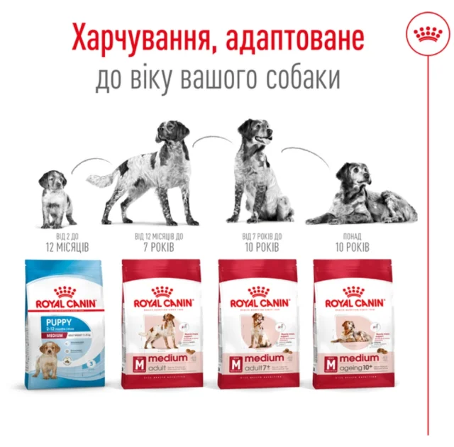 Сухой корм Royal Canin Medium Adult для собак средних пород, 15 кг