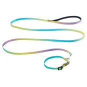 Комплект нашийник з повідцем AnimAll для маленьких собак та всіх порід кішок, пантон 2, 1/25-30/180 см