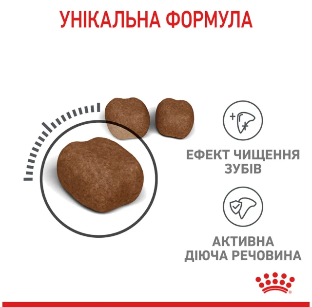 Сухий корм Royal Canin DENTAL CARE для зменшення утворення зубного каменю у кішок, 8 кг