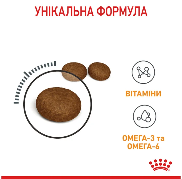 Сухий корм Royal Canin Hair & Skin Care для котів, догляд за шерстю, 4 кг