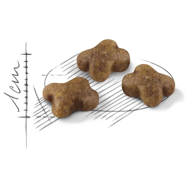 Сухой корм Royal Canin Kitten для котят от 4 до 12 месяцев, 4 кг