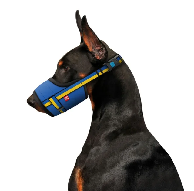 Намордник Waudog Nylon для собак, малюнок "Colors of freedom" пластиковий фастекс, розмір XL, 35-43 см